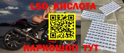 гидропоника Сланцы