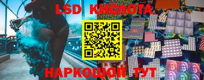 гидропоника Сланцы