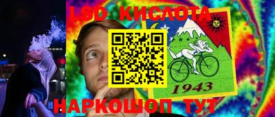 гидропоника Сланцы