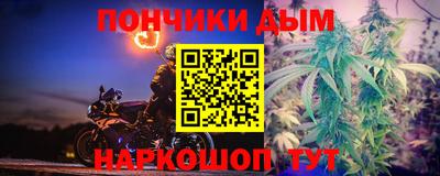 гидропоника Сланцы