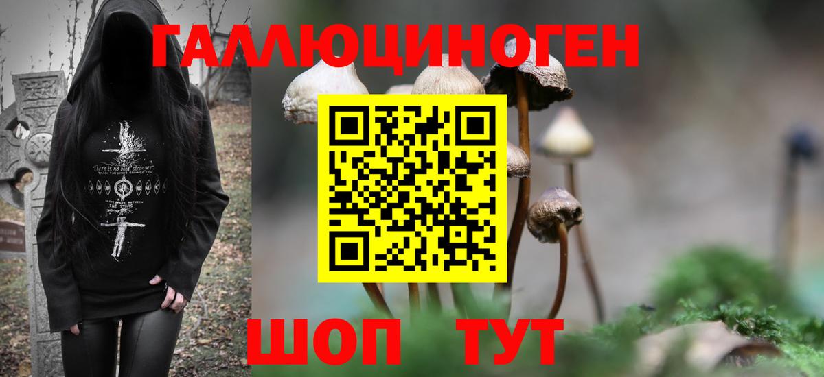 Галлюциногенные грибы Psilocybe  Вход с VPN  Нефтеюганск 